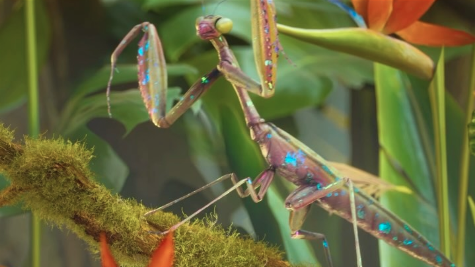 Cinema 4D Price 2026: Every Plan, Free Options and How to Get More From Your License - Article thumbnail