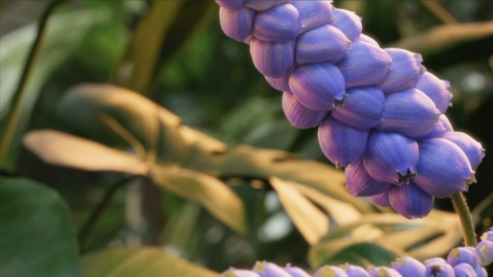 Render Farm Pricing Compared: Get a Price Overview From All the Major Render Farms - Article thumbnail